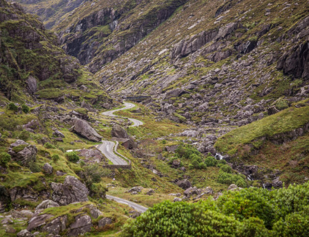 Jaunting car tour, Killarney National Park, Co Kerry_master