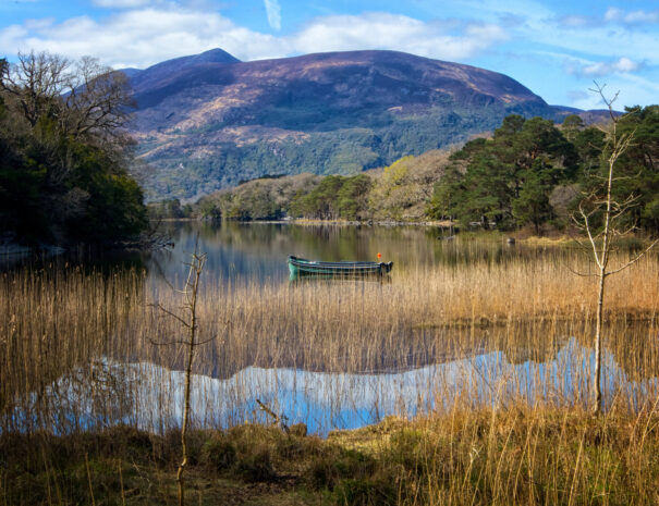 Muckross House and Gardens, Killarney National Park, Co Kerry_master